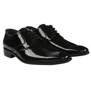 DSH-007